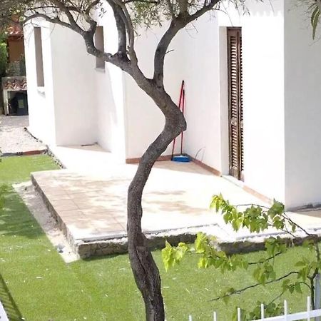 Comoda Villetta Con Giardino ซาน เตโอโดโร ภายนอก รูปภาพ